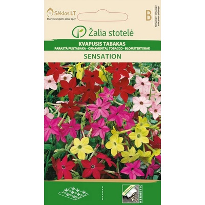 Seklos Никотиана (Тютюнево цвете) Микс Sensation Nicotiana alata Link et Otto