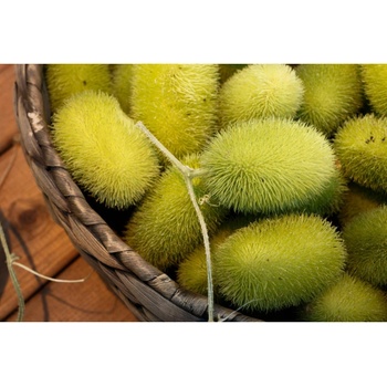 Uhorka Ježko - Cucumis dipsaceus - semiačka - 6 ks