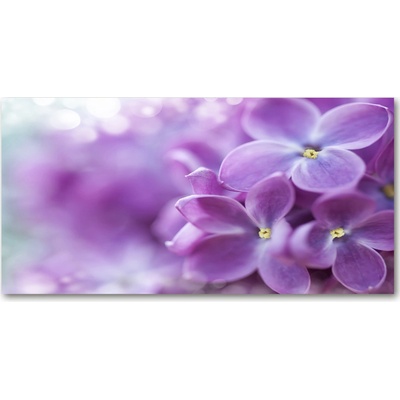 Foto obraz sklo tvrzené kvet bzu 100x50 cm