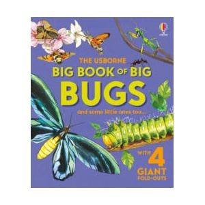 Big Book of Big Bugs (ISBN: 9781836050346)