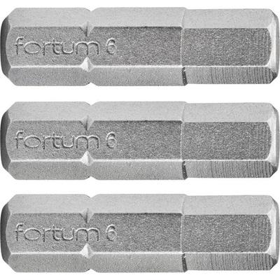 Fortum Комплект от 3 шестостенни накрайника FORTUM, H 5 x 25 мм, S2 4741506 (4741506)