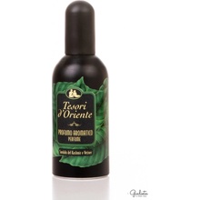 Tesori d'Oriente Sandalo Del Kashmir & Vetiver parfémovaná voda pánská 100 ml