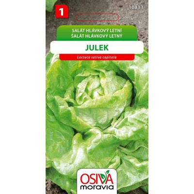 Salát hlávkový letní Julek Seva Seed 0,5 g