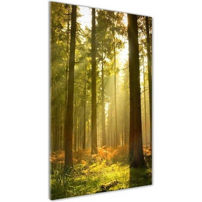 Vertikálny foto obraz sklenený Pekný les 50x100 cm