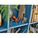 Image 1 of LEGO® Harry Potter™ - Aragog in the Forbidden Forest (76434)