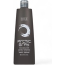 Bes Color Reflection Shampoo Artic Grey 300 ml