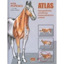 Atlas topografickej anatómie hospodárskych zvierat