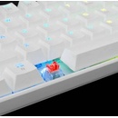 Image 1 of White Shark Shinobi GK-2022W