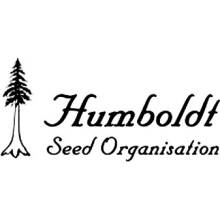 Humboldt Seed Organization Pineapple Skunk semena neobsahují THC 3 ks