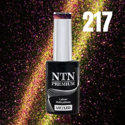 NTN Gél lak premium Magnetic Cat Eye 6D 217 5 g