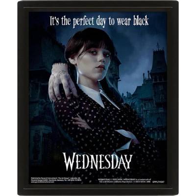 Pyramid International Obraz Wednesday - Perfect Day 3D