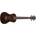 Prodipe Guitars BC220