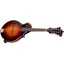 Eastman MD315