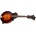 Eastman MD315