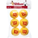Wilson Starter Foam 6 ks
