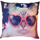 Dadka Foto vankúš Kočka v brýlích 40x40