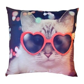 Dadka Foto vankúš Kočka v brýlích 40x40
