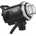 Godox MS300V