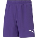 Puma teamRise short jr 704943