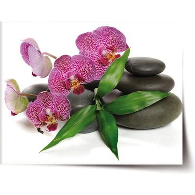 Sablio Plagát Orchidea a kamene - 90x60 cm