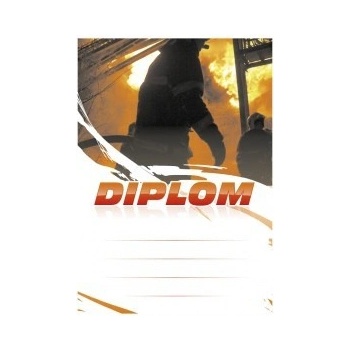 Diplom 6672