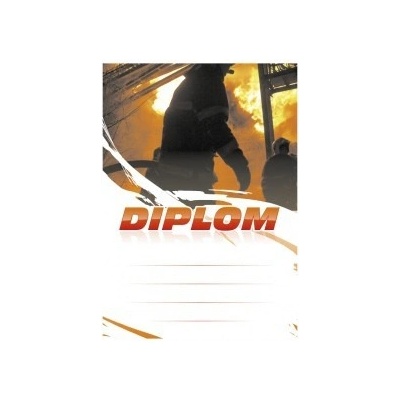 Diplom 6672