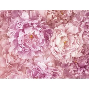 Image 1 of KOMAR ФОТОТАПЕТ xxl 184/248 xxl2-009--- (xxl2-009)