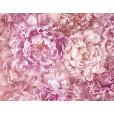 KOMAR ФОТОТАПЕТ xxl 184/248 xxl2-009--- (xxl2-009)