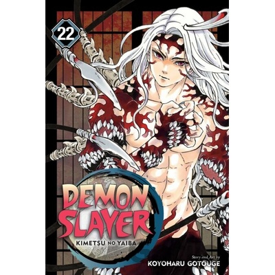 Viz Media Demon Slayer: Kimetsu no Yaiba 22