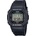 Casio DW-5600UE-1ER