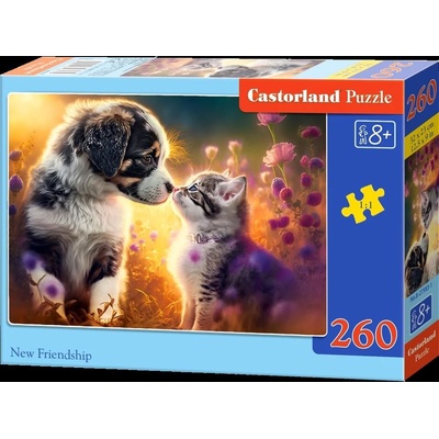 CASTORLAND Nové přátelství 260 dílků