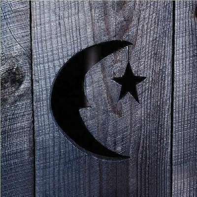 Phish - Farmhouse CLR 2 LP
