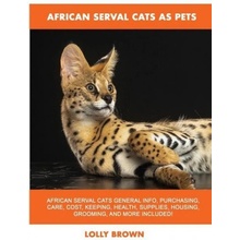 African Serval Cats as Pets