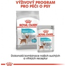 Granule pre psov Royal Canin Mini Urinary Care 8 kg