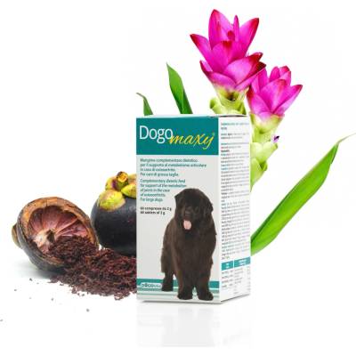 DOGOteka tablety 60 ks
