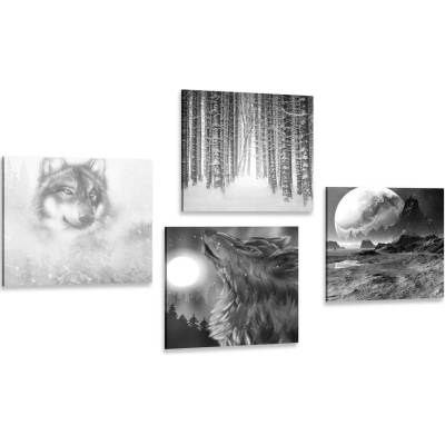 Set obrazů tajuplný vlk v černobílém provedení - 4x 60x60