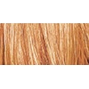 Sebastian Cellophanes barevný lesk medová blond 300 ml