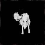 Warner Sigur Ros: Kveikur (Coloured Sulphuric Yellow Vinyl, RSD 2023) - 2Vinyl (LP) (060667)