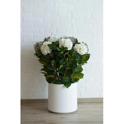 eshop-kvetinace.sk Umelá hortenzia HYDRANGEA v bielom kvetináči, výška 90 cm, modro - biela