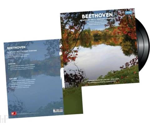 Various Beethoven Vinyl