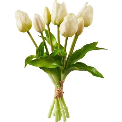 Florissima! Zväzok tulipánov 7 ks, krémová, 30 cm - Florissima