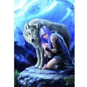 Clementoni Puzzle Compact Anne Stokes Collection - Protector 1000 pieces (39958)