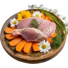 TYGERO 50 štěně malé plemeno krůtí a kachní 2 kg