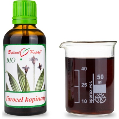 Skorocel kopijovitý bio kvapky tinktúra 50 ml