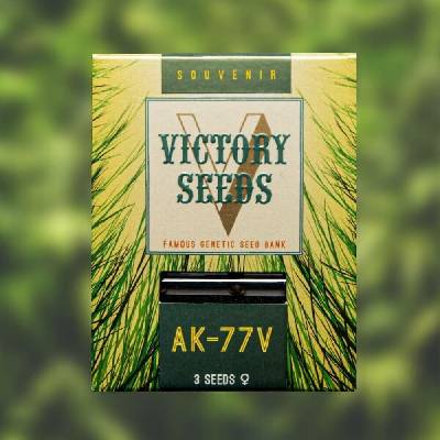 Victory Seeds AK-77V semena neobsahují THC 10 ks