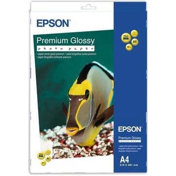 Epson S042169