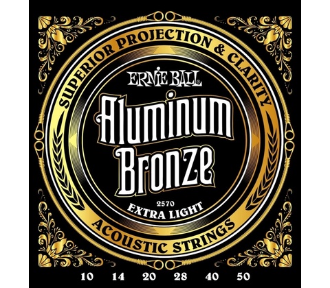 Ernie Ball 2570