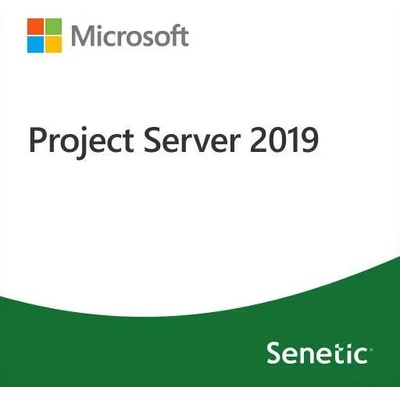 Microsoft Project Server 2019 DG7GMGF0F4MH-0003