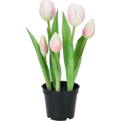 5ks fialový realistický tulipán Tulips v kvetináčiku - 26 cm - daan kromhout