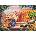 Anatolian - Puzzle Amsterdam - 1 000 piese